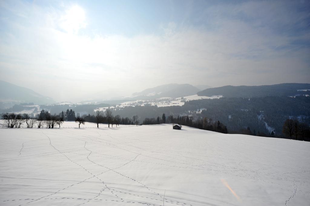 Gugghof Lägenhet Hopfgarten im Brixental Rum bild